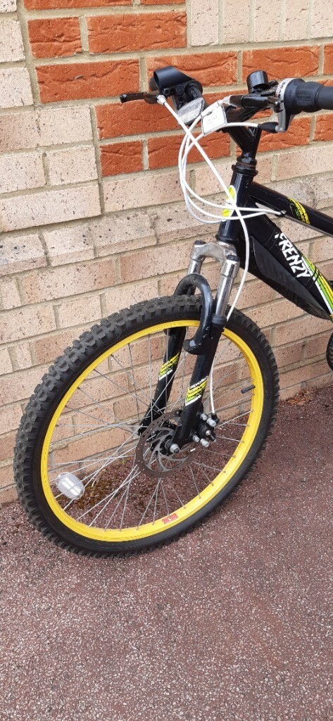 apollo frenzy junior mountain bike 24